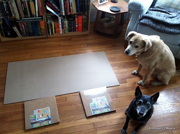 1/4 ", 2' x 4' product panel from Home Depot, two 4-packs of 12"x12" cork from Target, Smarty and Jack optional.